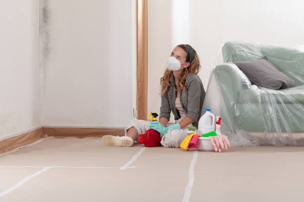 Reliable Mold Remediation contractor in Butler, PA by WQB Mold Removal